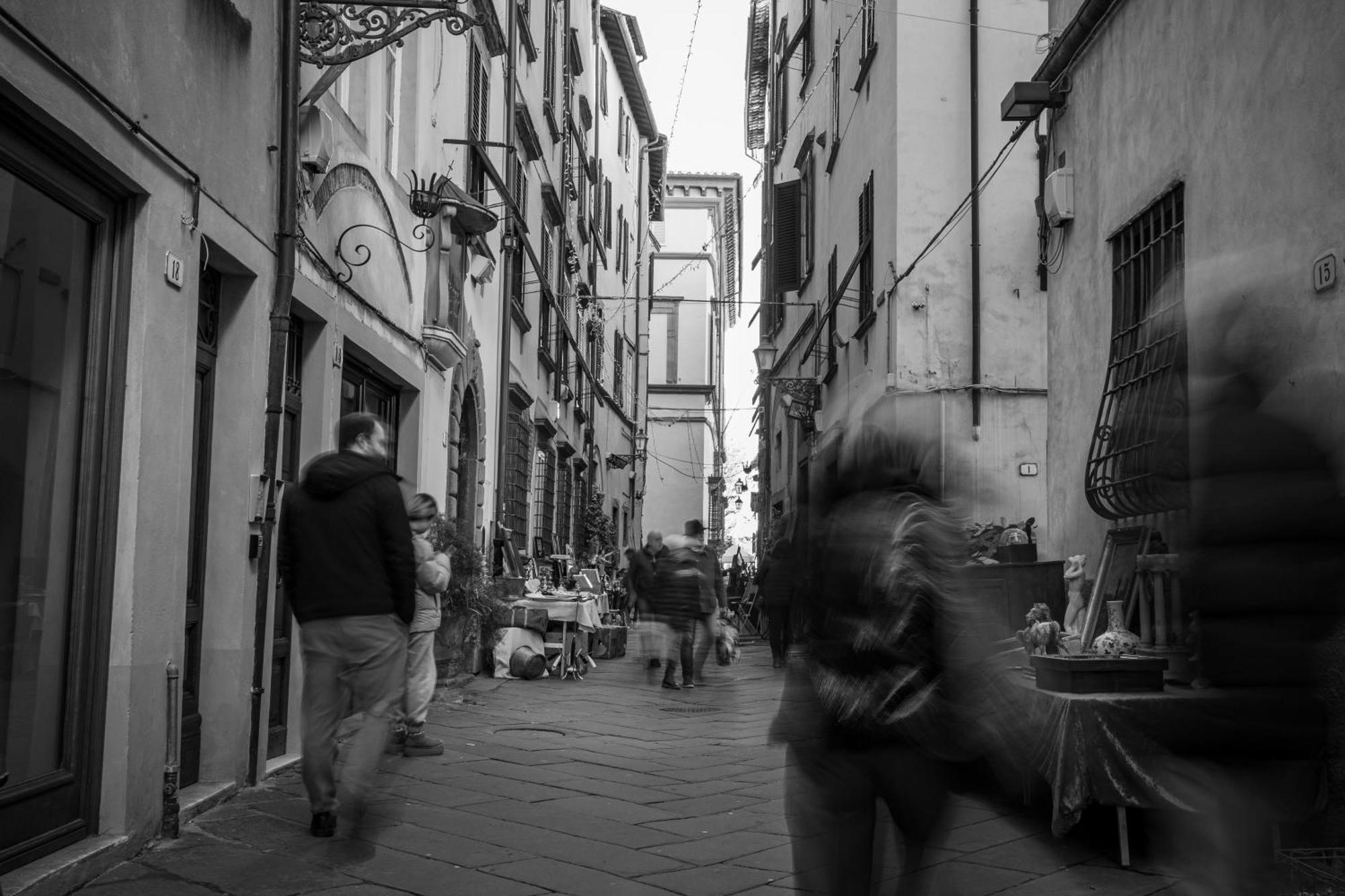 Bilocale Economico, In Pieno Centro A Lucca Lejlighed Eksteriør billede